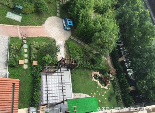 简单实用小庭院鱼池,庭院鱼池改造设计图片