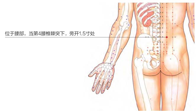 穴位养生：中医告诉你缓解慢性腹泻有奇招