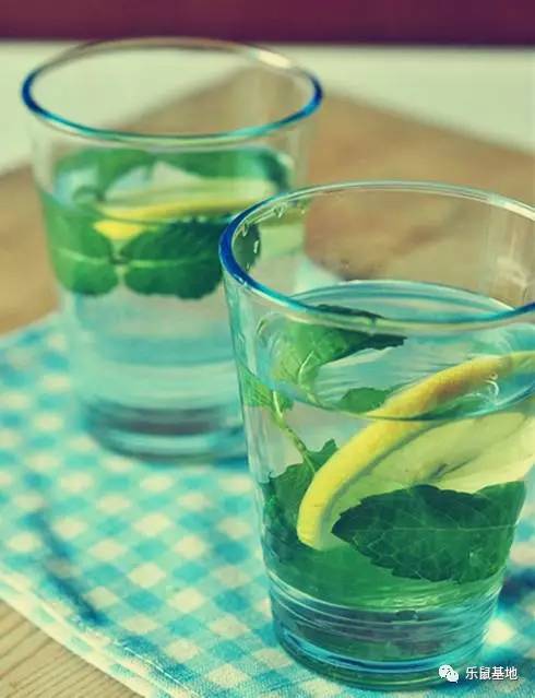 “薄荷香中醉欲颠”,有了薄荷的陪伴让,你清清爽爽度夏天