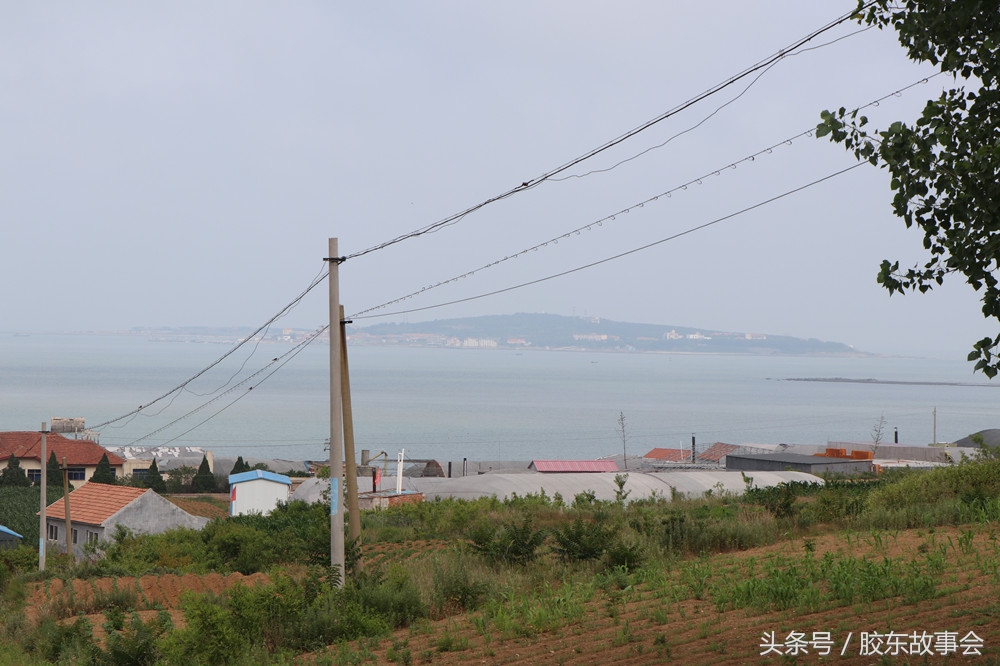 烟台人对青岛的印象,青岛市即墨区的发展