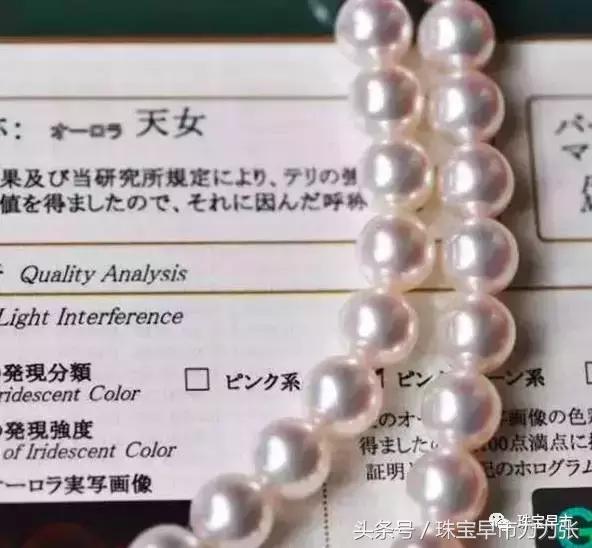 真正的野生珍珠图片,野生珍珠贵吗