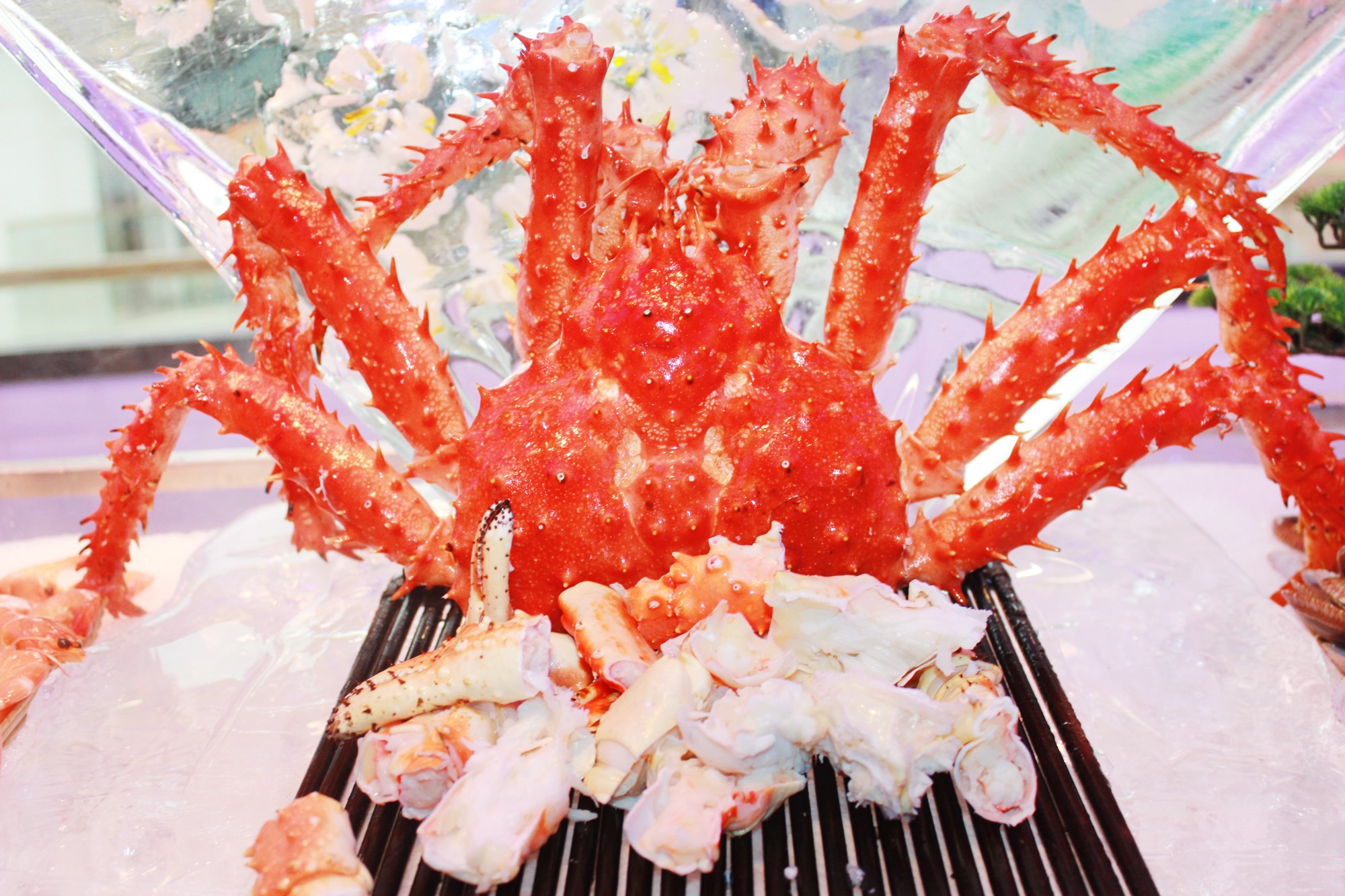 请客推荐去哪个饭店,三亚适合十个人聚餐的餐厅推荐