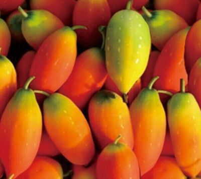 水果致富骗局揭秘新闻,水果致富的骗局