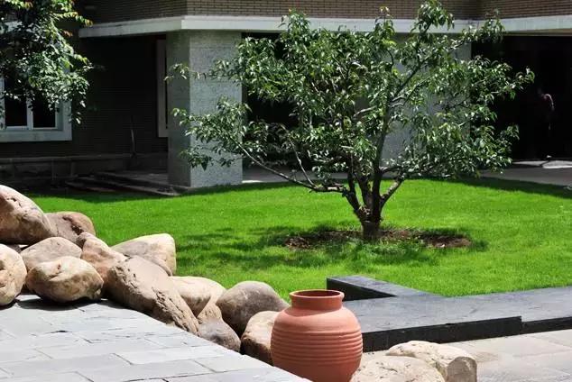 “辽宁高招指南”探秘绿岛,遇见你是我最美丽的意外!