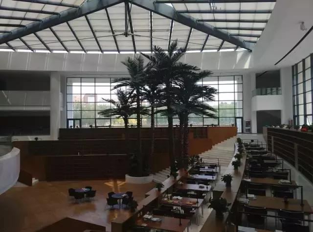 “辽宁高招指南”探秘绿岛,遇见你是我最美丽的意外!