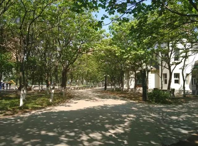 “辽宁高招指南”探秘绿岛,遇见你是我最美丽的意外!