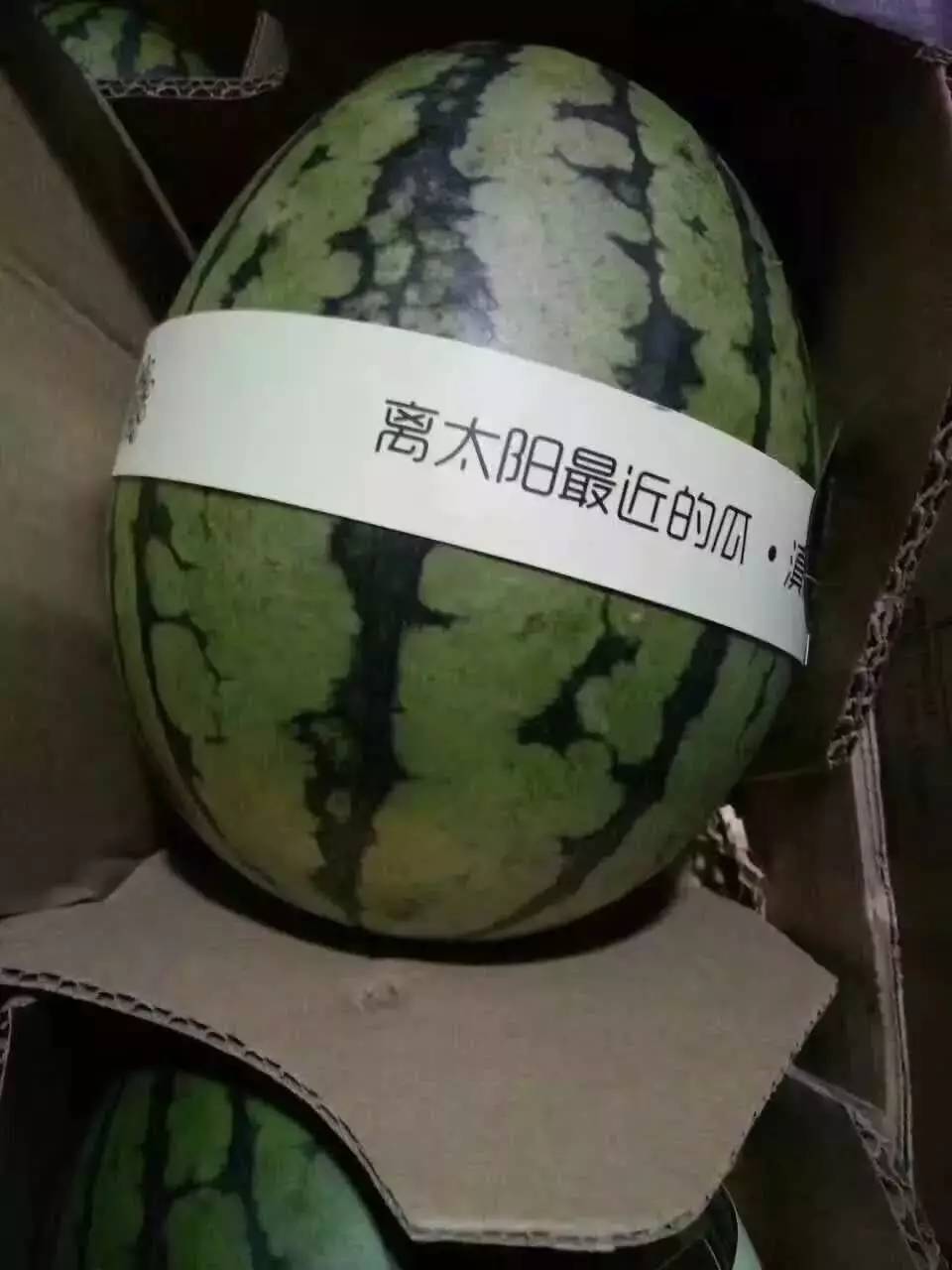 高端水果微商团购,微商水果代理平台