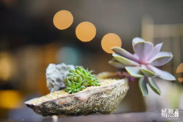 石龙老字号传统美食,石龙老味道