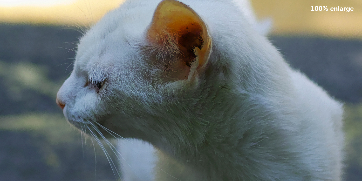 适马sdq与sdqh参数区别,适马sdqh画质怎么样