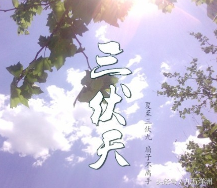 今天是夏至吗生活中应注意哪些,今天是夏至有什么说法吗