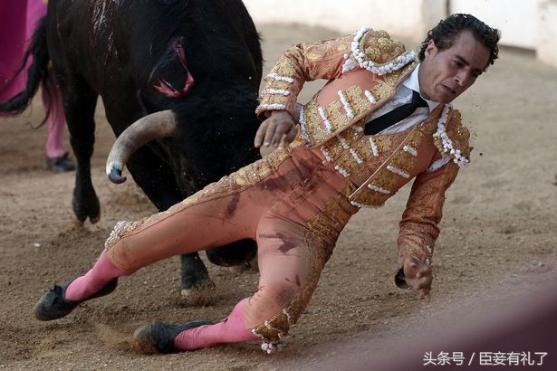 西班牙斗牛公牛表现出色免死,西班牙斗牛士单挑六只牛