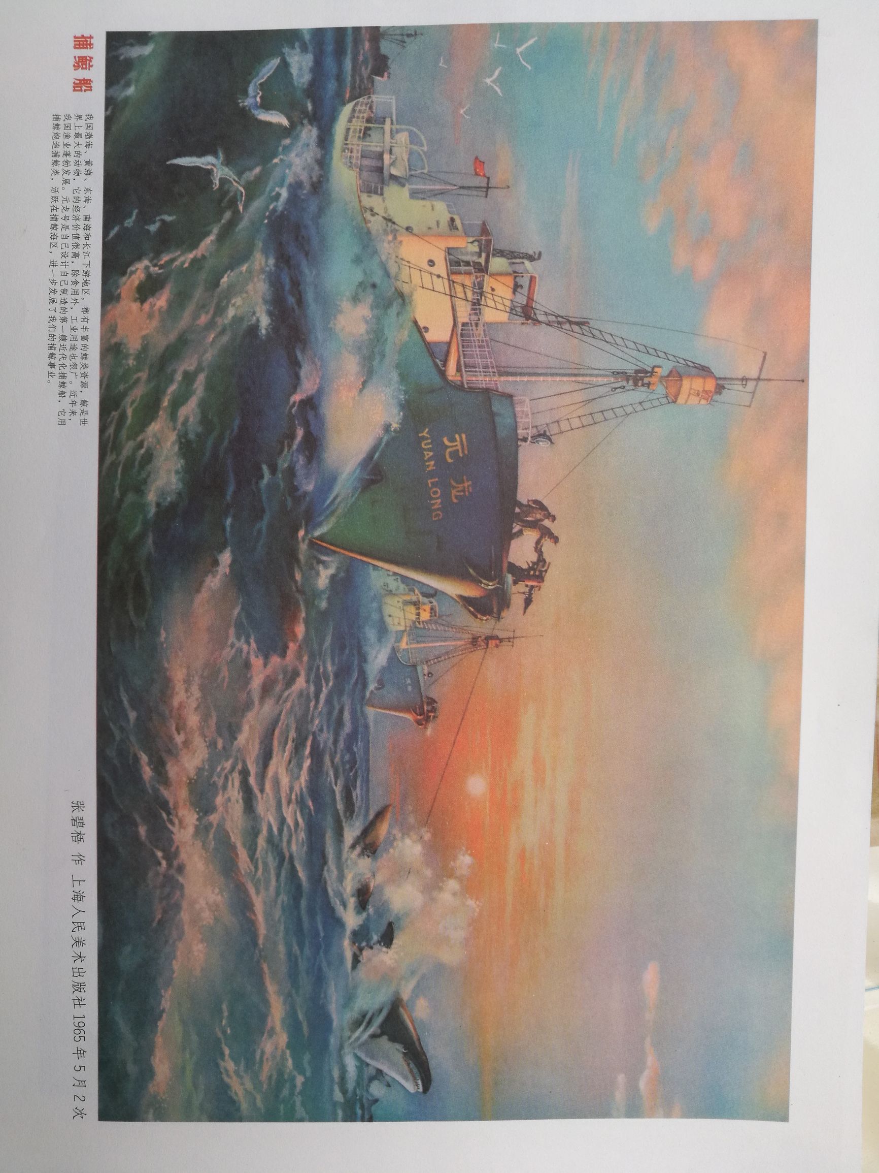 鲁园卖的都是什么,鲁园有买画的吗