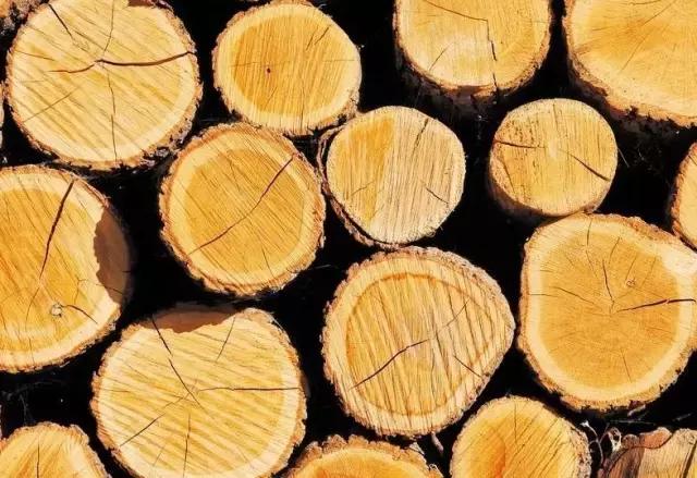 夏至到了清凉一夏,夏至来临给你清凉夏日体验