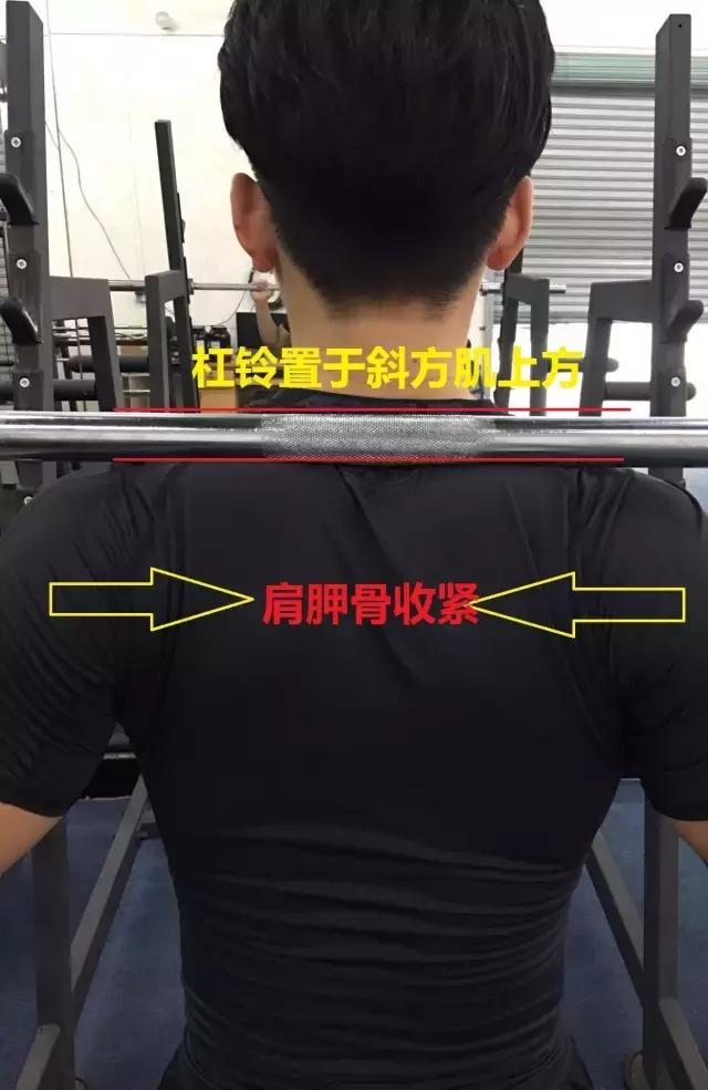 深蹲好处多如何做标准深蹲,深蹲有什么锻炼效果好的动作