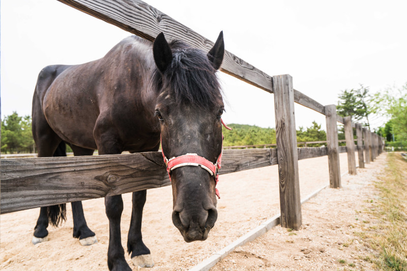 蓬莱温泉旅游度假村,蓬莱适合度假的小镇