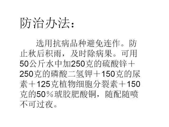 辣椒卷叶病虫害图谱及防治方案,辣椒病虫害大全