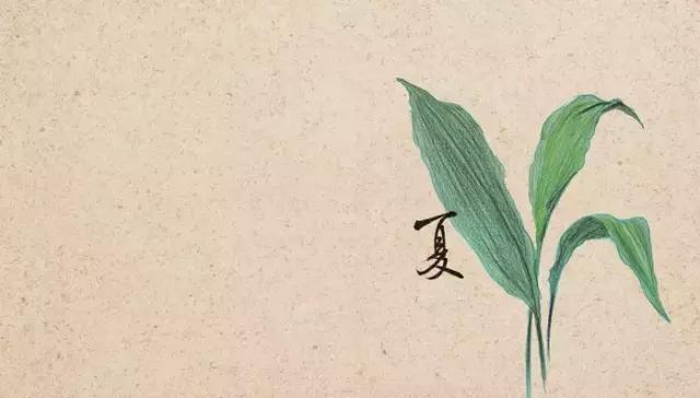 学习插花真的有前途吗,在家看书插花