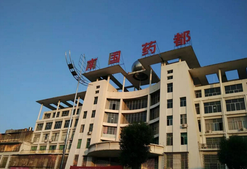 湖南特色小镇,湖南省邵阳市邵东县廉桥镇廉邵街