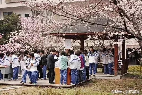 来不及道别就已永别,来不及告别青春已远逝