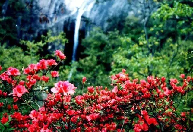 河南15个最值得去的景区排行榜,河南几个值得去玩的景区