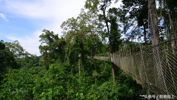 西双版纳在水一方泼水节,版纳哪里可以感受泼水