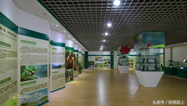 西双版纳在水一方泼水节,版纳哪里可以感受泼水