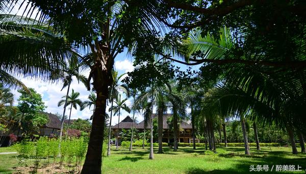 西双版纳在水一方泼水节,版纳哪里可以感受泼水