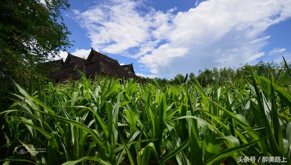 西双版纳在水一方泼水节,版纳哪里可以感受泼水