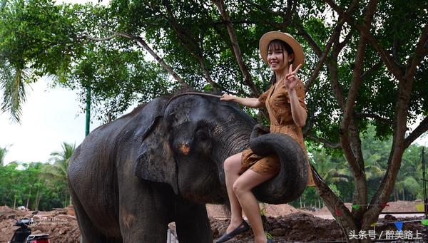 西双版纳在水一方泼水节,版纳哪里可以感受泼水