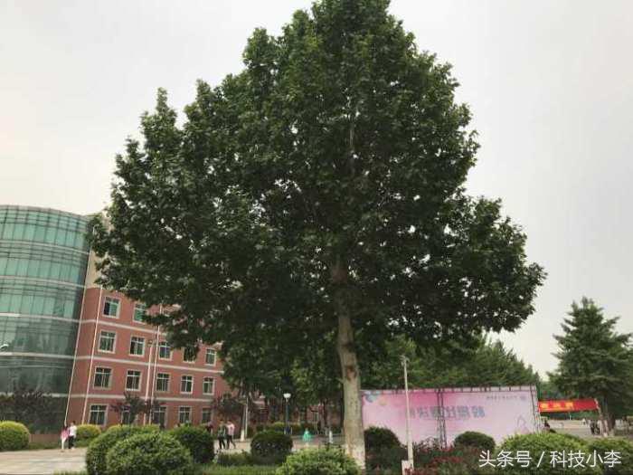 iphone7p使用13.31系统,iphone7p还能支持几次大版本