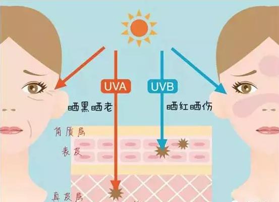 来自“黑皮难民”的呐喊！今年夏天的防晒神器你都get到了吗？