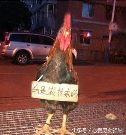 超市卖的东西都是啥,超市里卖东西的是什么