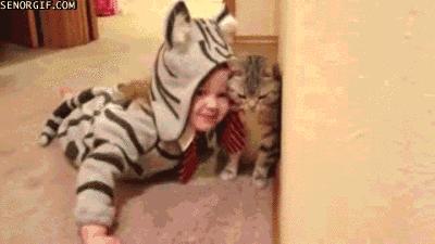 别烦我，没看见我正在认真数钱吗？