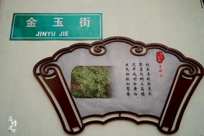 六月的巨鹿，“杏好”遇见你！