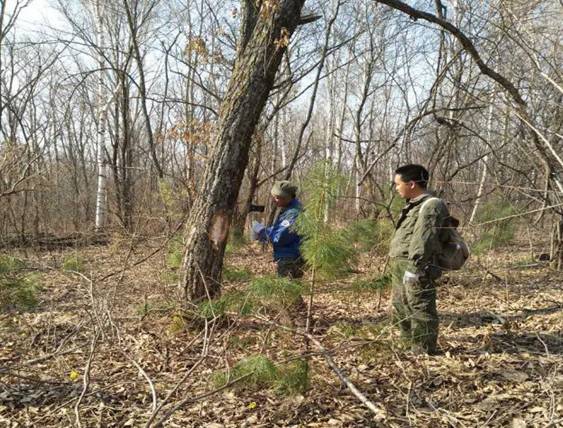 林业职工解雇了怎么办,林业六大工种取消了吗