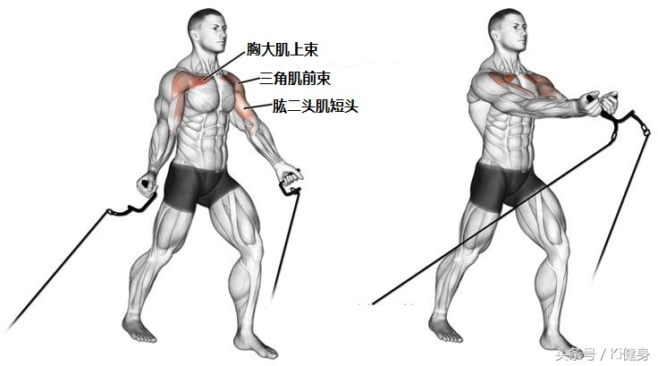 龙门架夹胸可以替换成别的动作么,龙门架夹胸安排在第几个动作