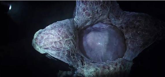 《异形：契约》：女生要开挂，男票先得挂……