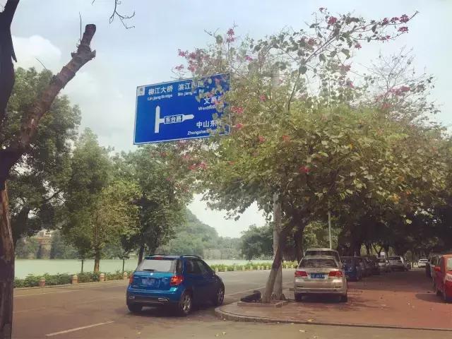 柳州，一座经常被电驴超车的城市！看完一把辛酸泪