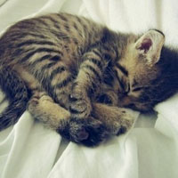 女生之间的友谊比男生简单很多,男生之间是没有真正的友谊的