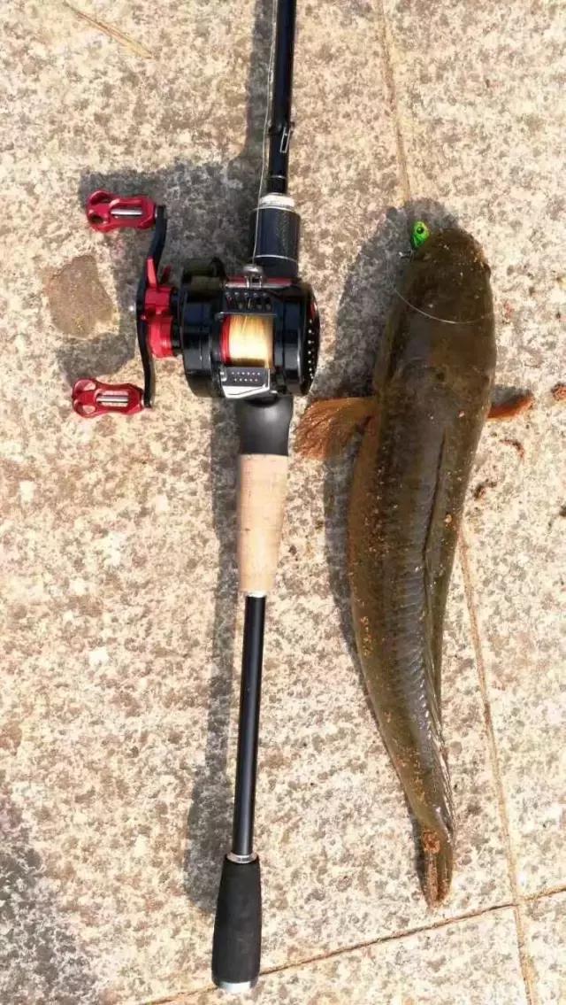 雷霆轮毂x5,鼓轮雷霆