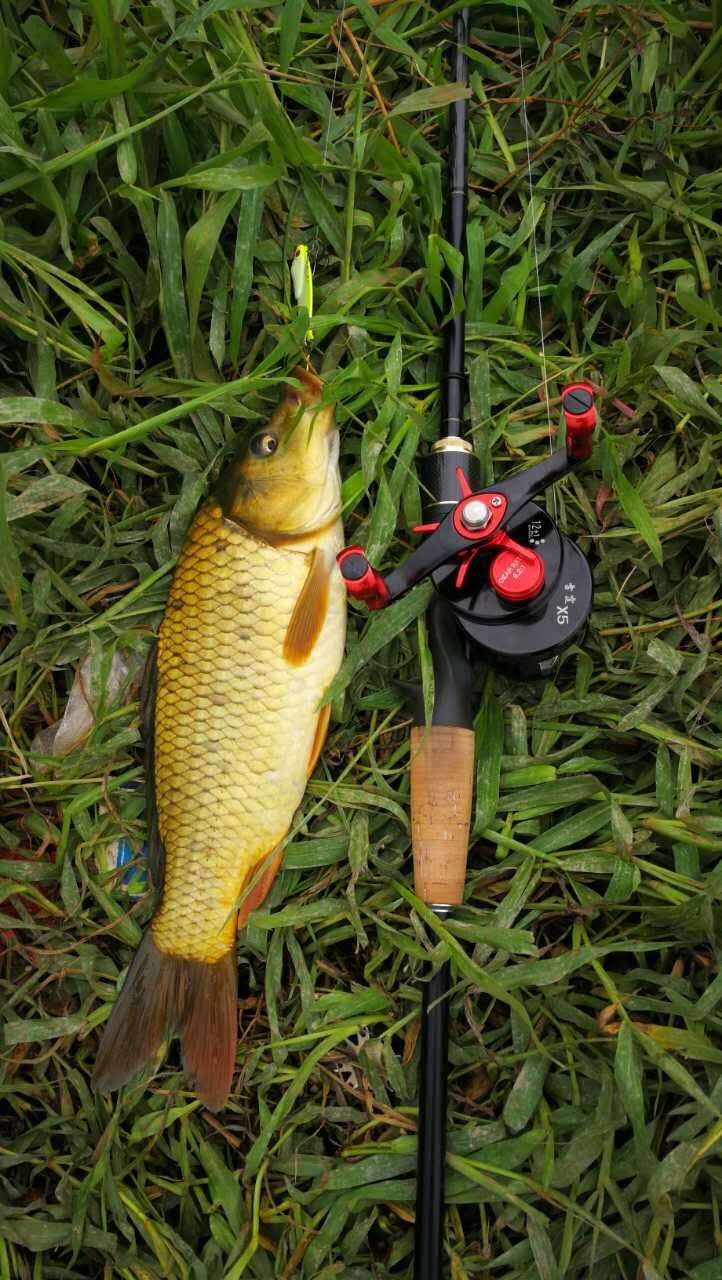 雷霆轮毂x5,鼓轮雷霆