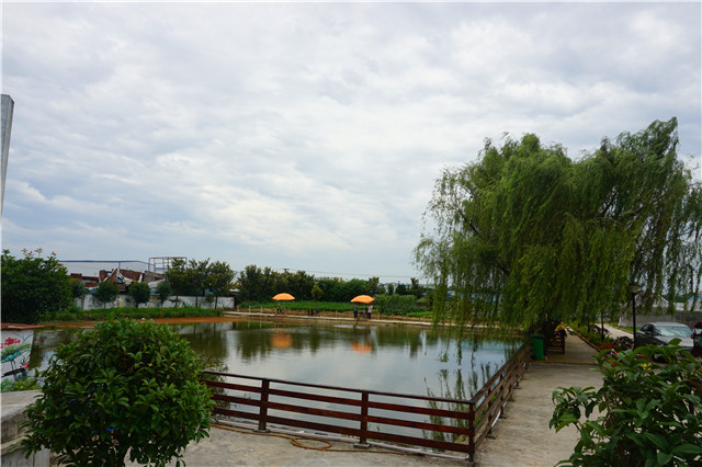 成都柴火鸡烤全羊江湖菜,岳塘区湘江小院烤全羊