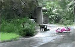 驾驶证12分最多能扣多少分,驾照一次性被扣36分吊销怎么解决