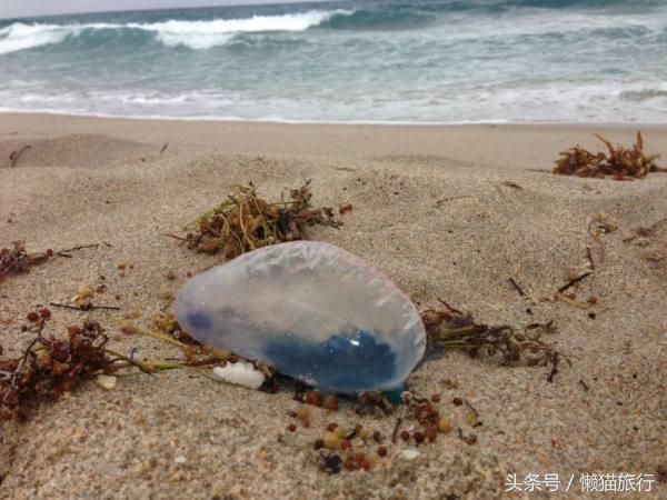 泰国雨季适合去的岛,普吉岛雨季适合去旅游吗