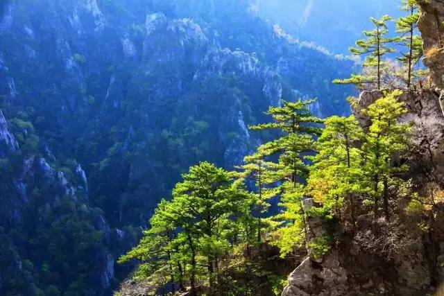 河南15个最值得去的景区排行榜,河南几个值得去玩的景区