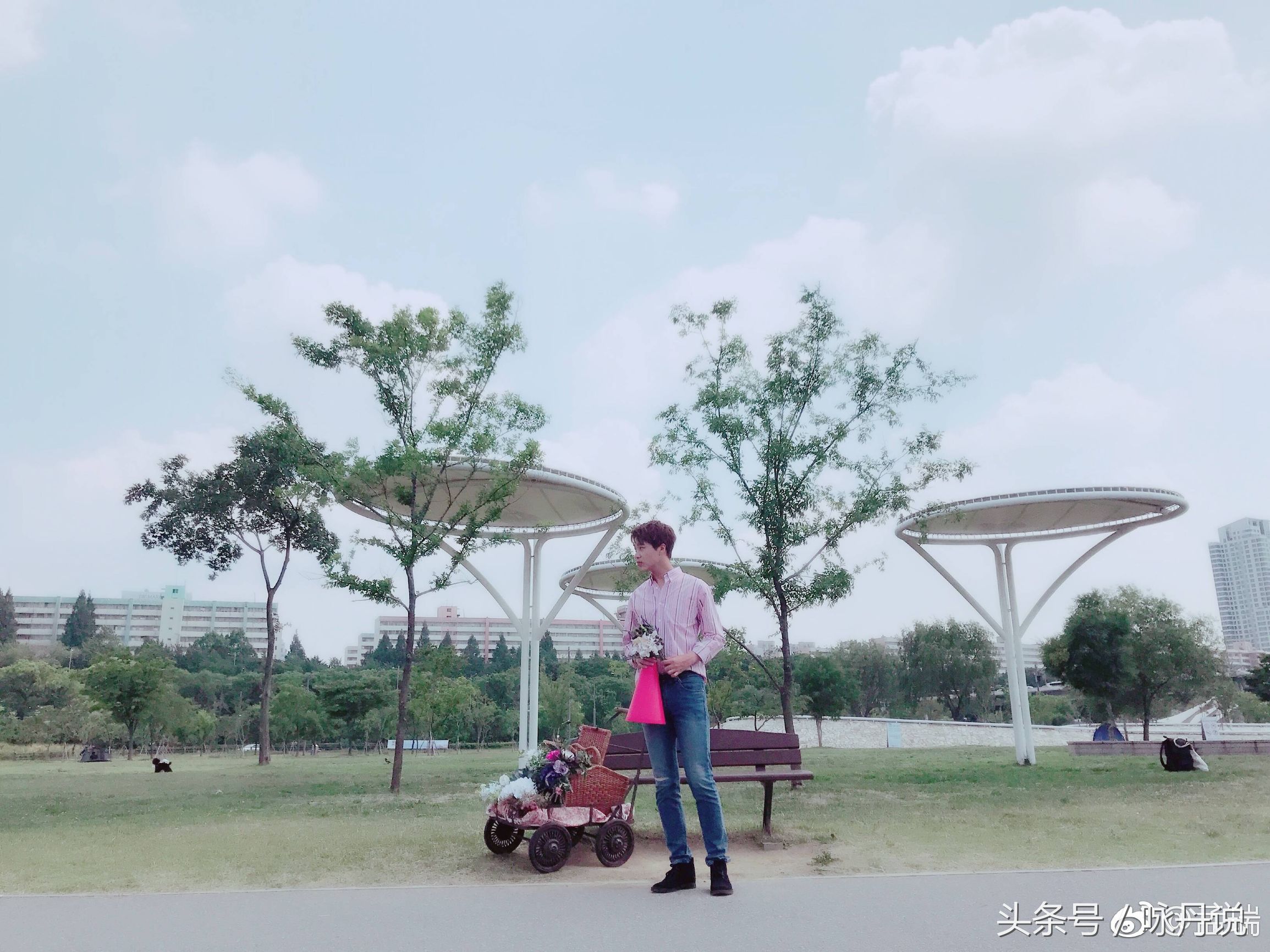 宁静有才文艺范儿的孟府少爷——孟瑞