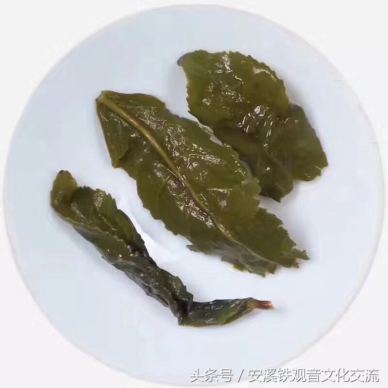 安溪铁观音2022新茶浓香型兰花香,铁观音特级浓香型正品兰花香250克