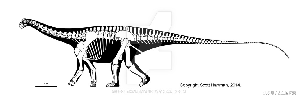尼日尔龙:恐龙中的吸尘器