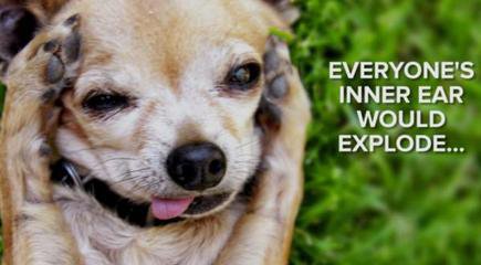 如果地球缺氧五秒会怎么样,地球缺氧的真实感受