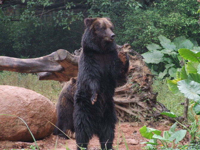 广州香港迪士尼一日游报团,长隆好玩还是迪士尼好玩